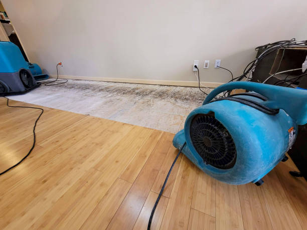 Professional Flood Damage Cleanup technician working in Emmett, MI